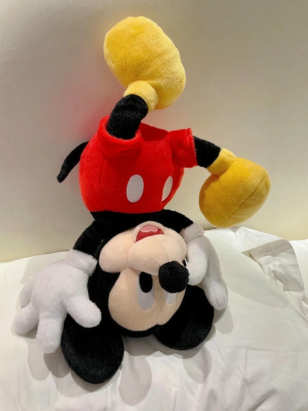 hình ảnh mickey 25