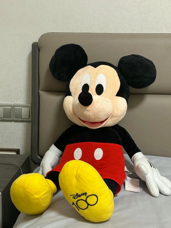 hình ảnh mickey 6