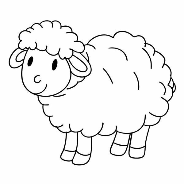 hình tô màu con cừu