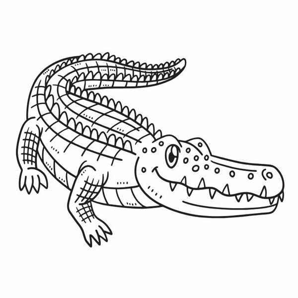 tô màu cá sấu 11