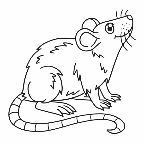 tô màu con chuột 12