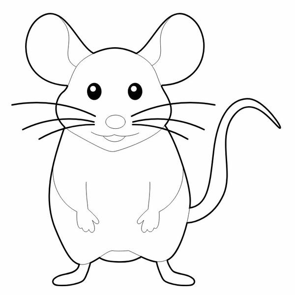 tô màu con chuột 20