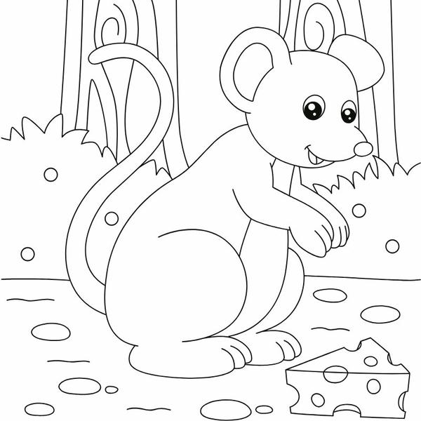 tô màu con chuột 21