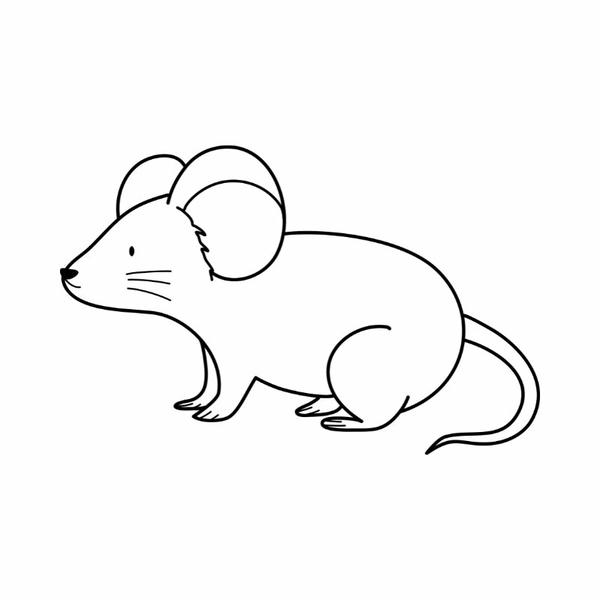 tô màu con chuột 3