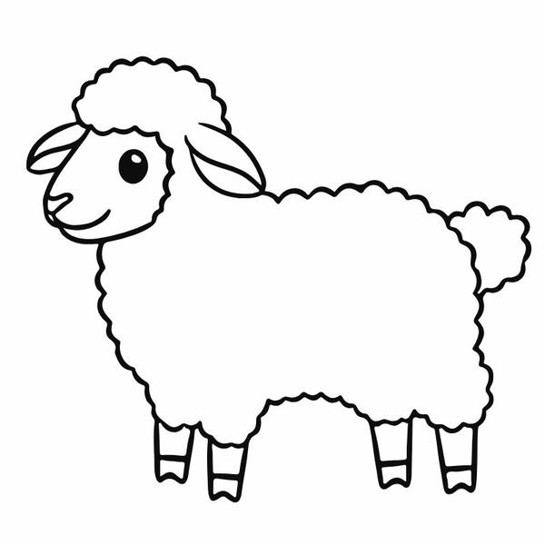 tô màu con cừu 11