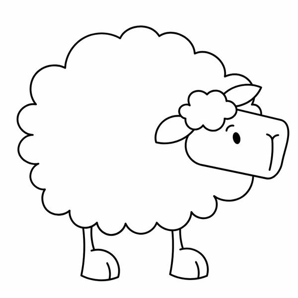 tô màu con cừu 14