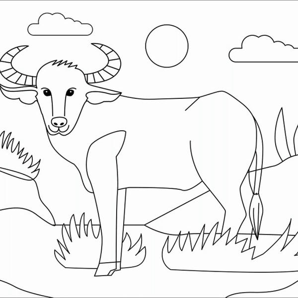 tô màu con trâu 3