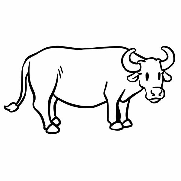 tô màu con trâu 6