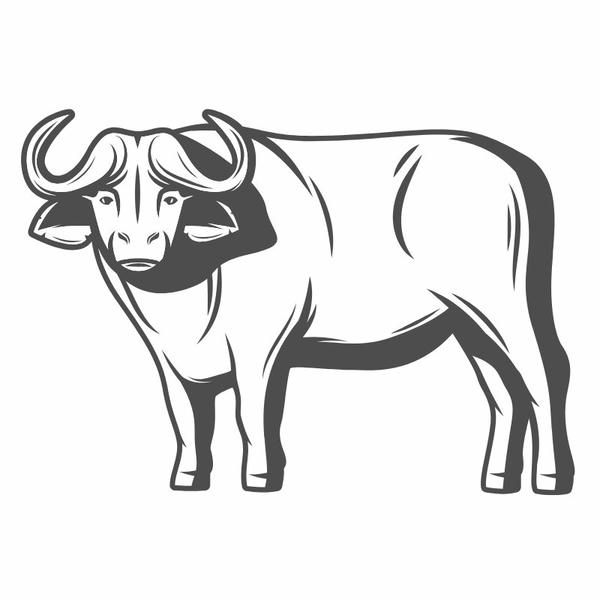 tô màu con trâu 7