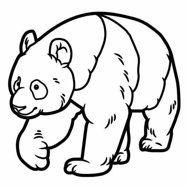 tô màu gấu trúc 12