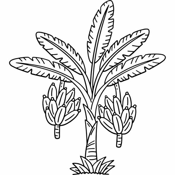 tô màu quả chuối 22