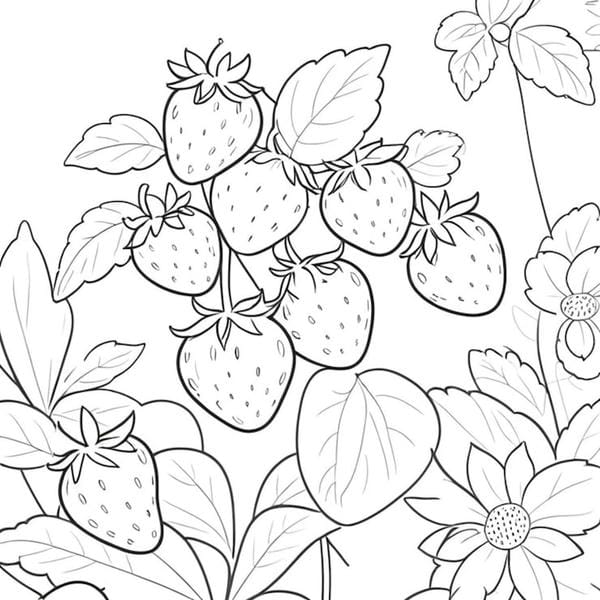 tô màu quả dâu tây 26