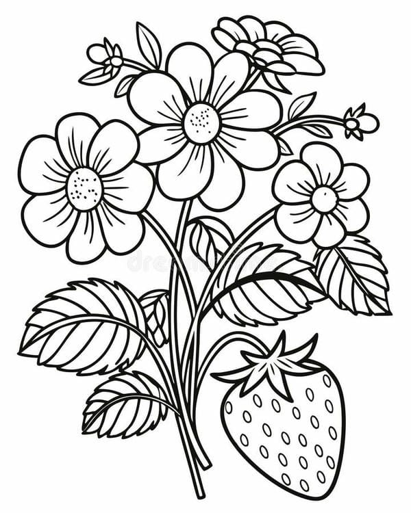 tô màu quả dâu tây 29