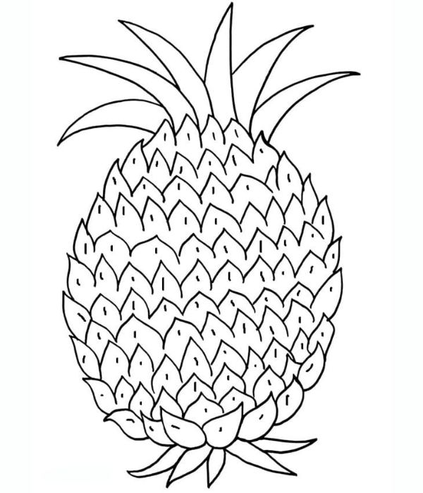 tô màu quả dứa 21