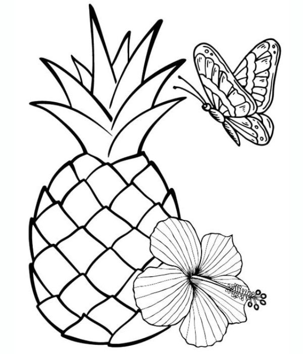 tô màu quả dứa 29