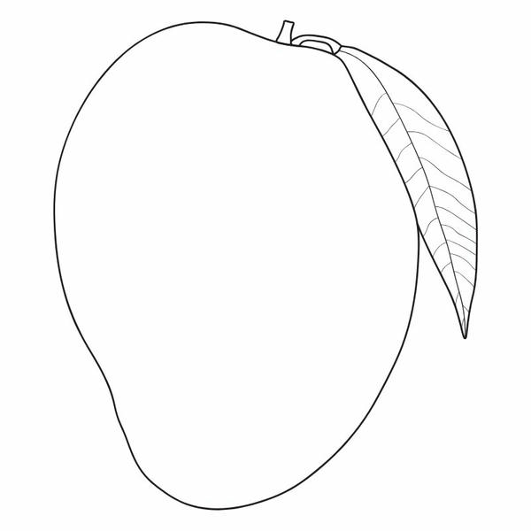 tô màu quả xoài 11