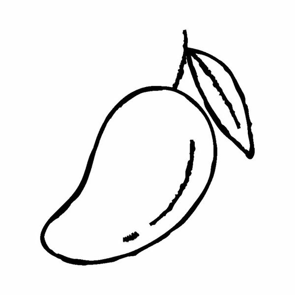 tô màu quả xoài 21