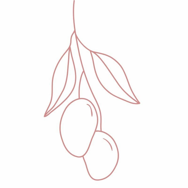 tô màu quả xoài 25