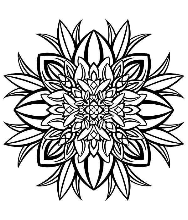 tô màu trang trí hình vuông 12