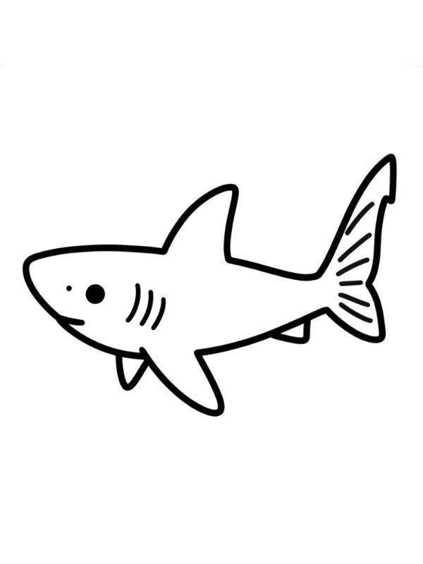 tranh tô màu cá mập​ 17