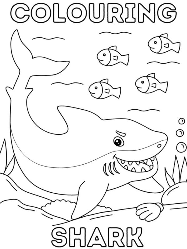 tranh tô màu cá mập​ 24