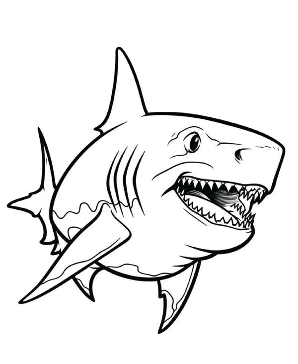 tranh tô màu cá mập​ 28