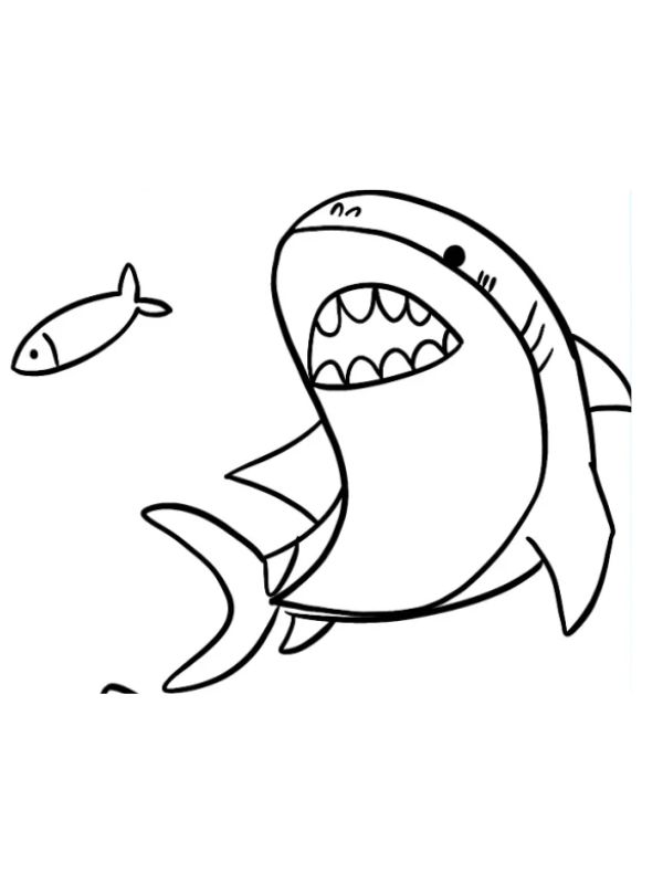 tranh tô màu cá mập​ 3