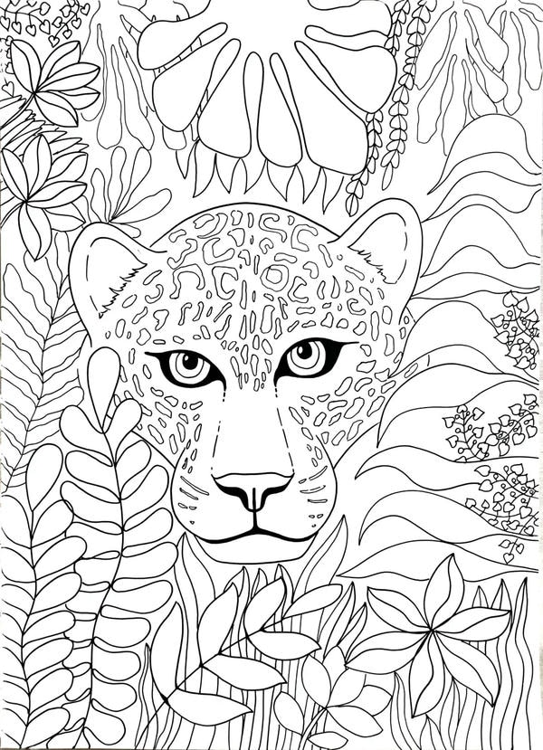 tranh tô màu các con vật sống trong rừng