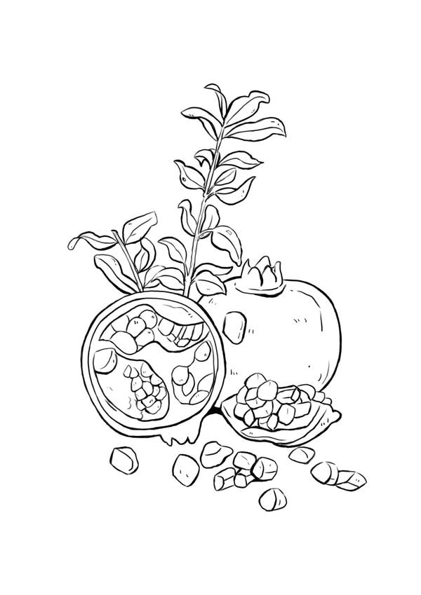 tranh tô màu các loại quả 23