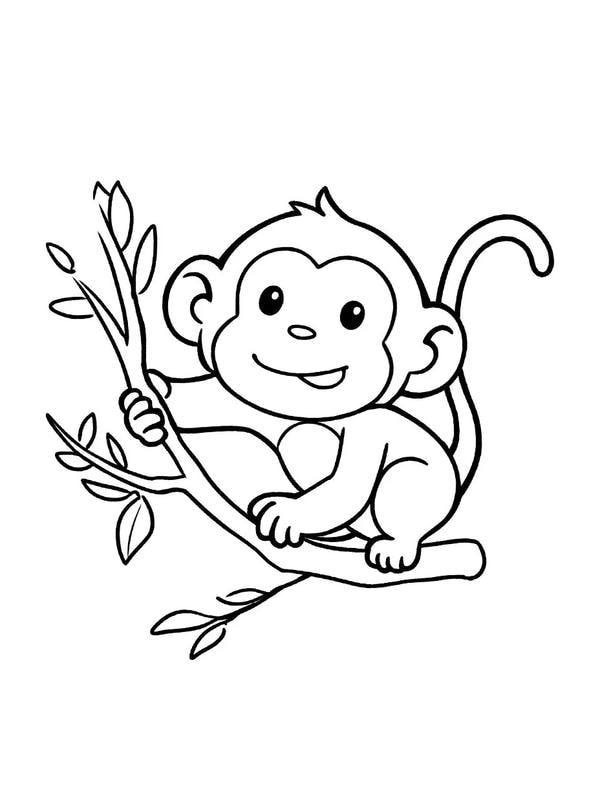 tranh tô màu con khỉ 24