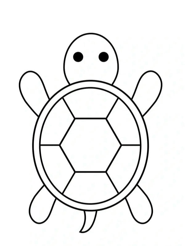 tranh tô màu con rùa 33