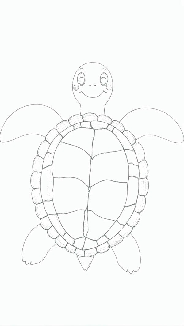 tranh tô màu con rùa 7