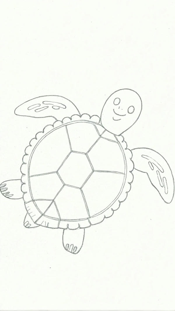 tranh tô màu con rùa 9
