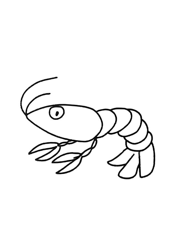 tranh tô màu con tôm 1