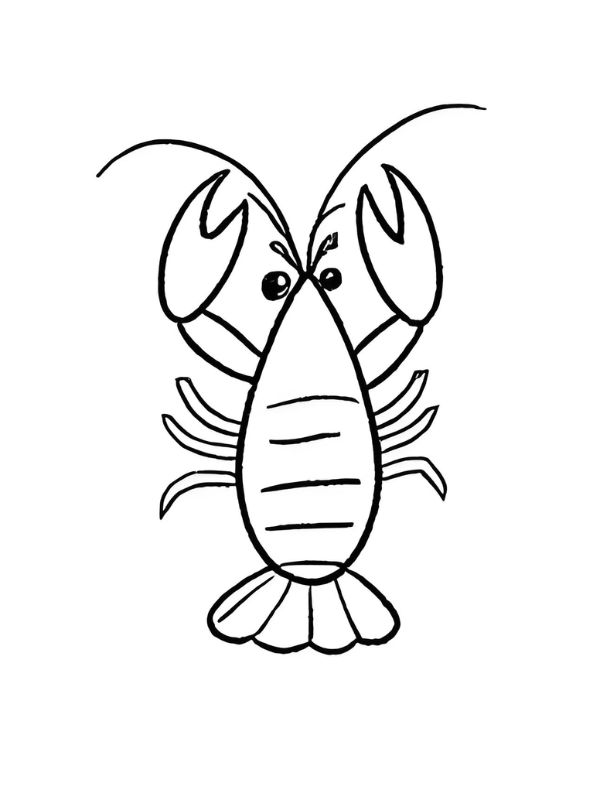 tranh tô màu con tôm 11