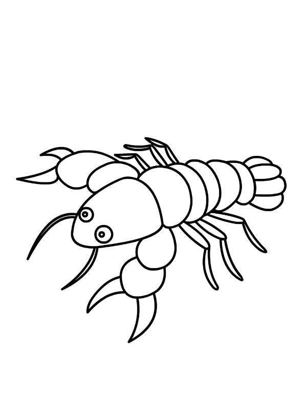 tranh tô màu con tôm 2