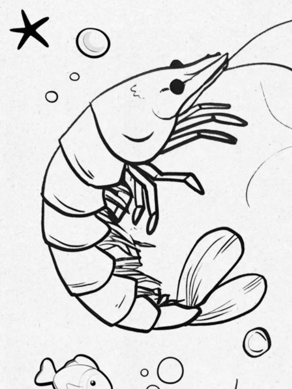 tranh tô màu con tôm 20