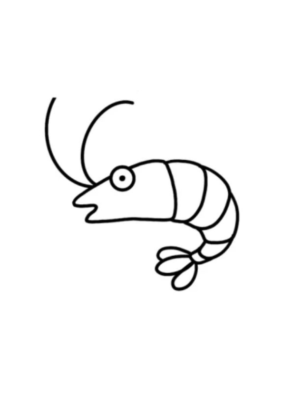 tranh tô màu con tôm 22