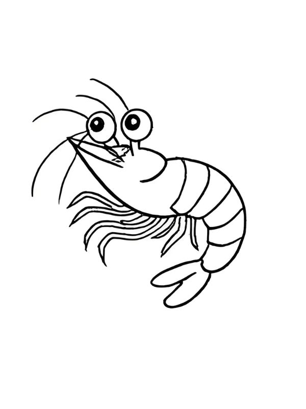 tranh tô màu con tôm 23