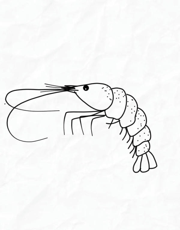 tranh tô màu con tôm 30