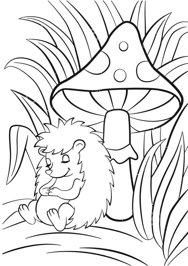 tranh tô màu con vật sống trong rừng 23