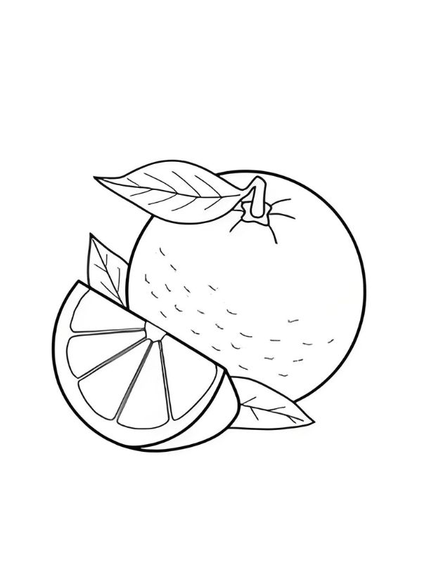 tranh tô màu quả cam 12