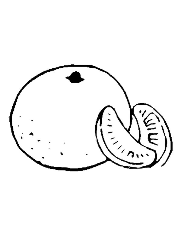 tranh tô màu quả cam 13