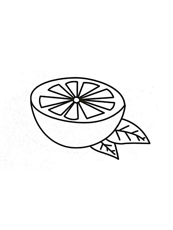 tranh tô màu quả cam 15