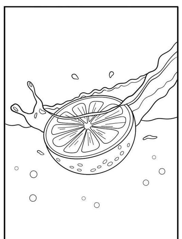 tranh tô màu quả cam 18