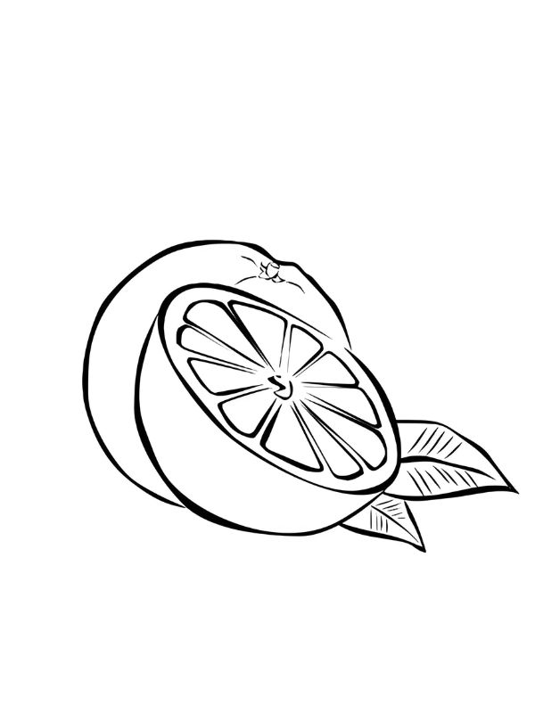 tranh tô màu quả cam 18