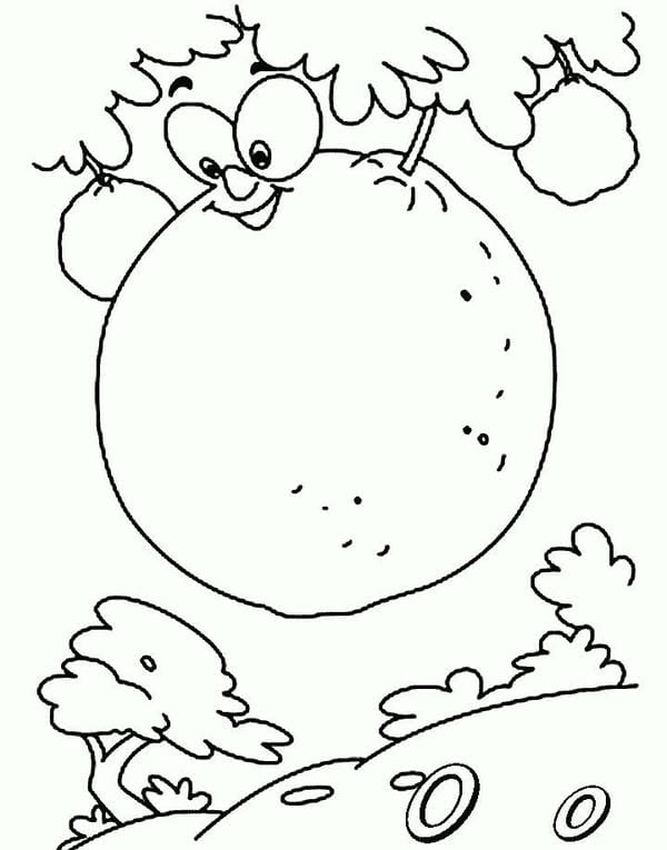 tranh tô màu quả cam 19