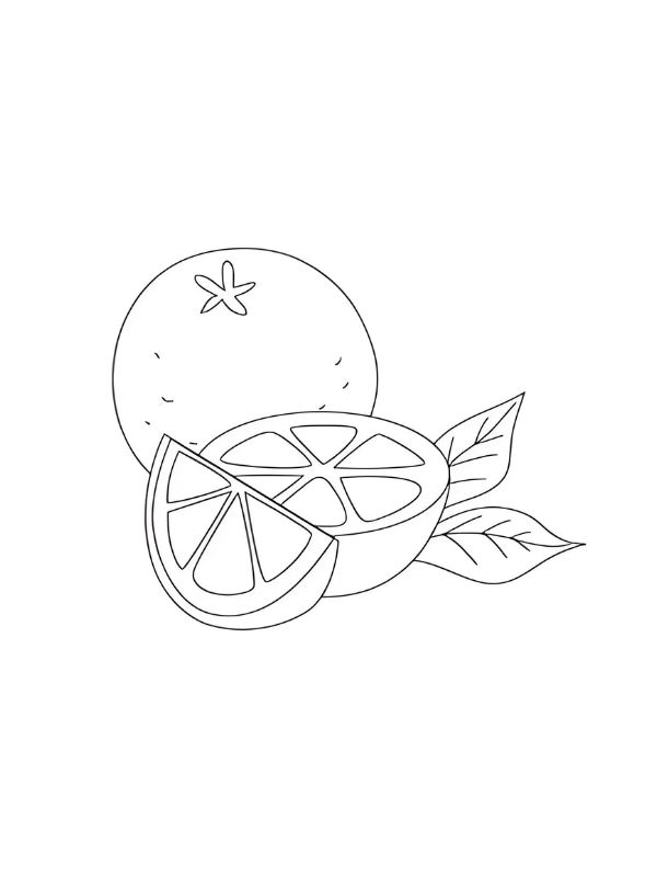 tranh tô màu quả cam 2