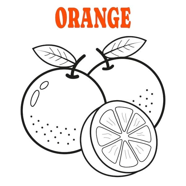 tranh tô màu quả cam 20