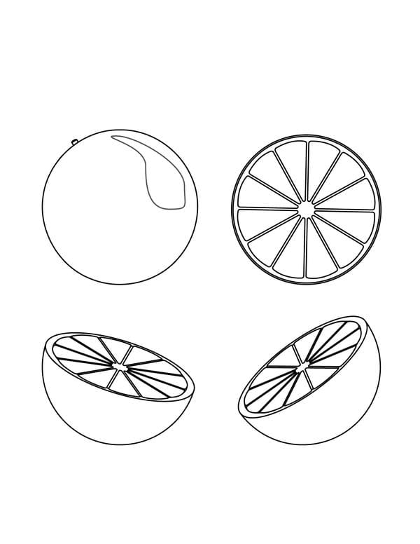 tranh tô màu quả cam 25